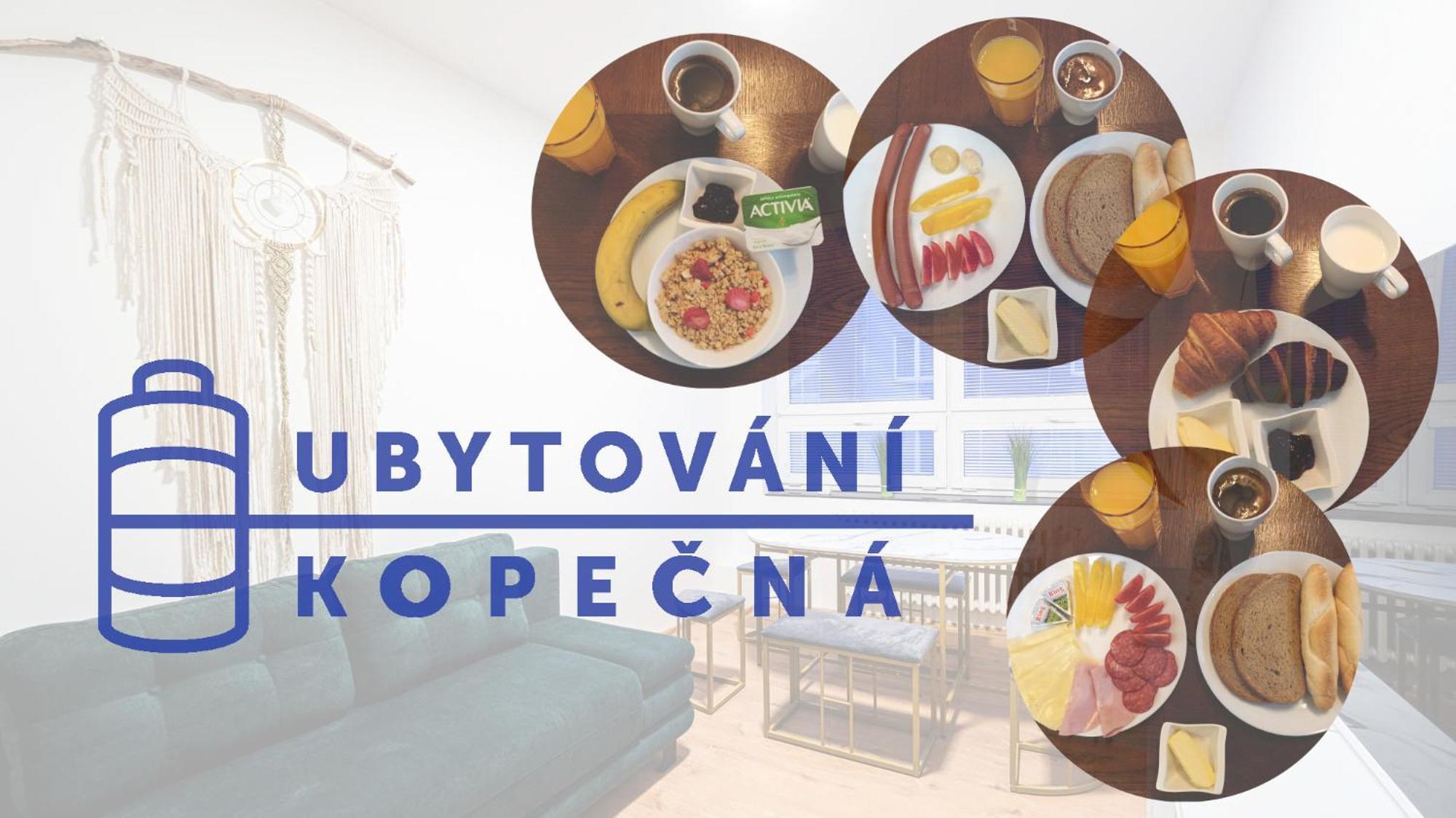 Apartments Kopecna With Parking Brno Zewnętrze zdjęcie